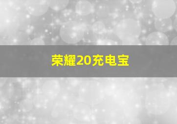 荣耀20充电宝