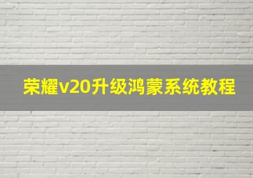 荣耀v20升级鸿蒙系统教程