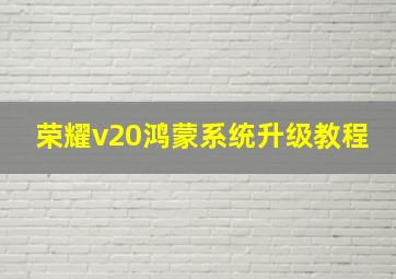 荣耀v20鸿蒙系统升级教程