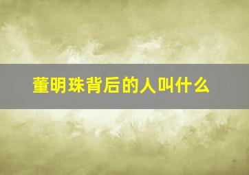 董明珠背后的人叫什么