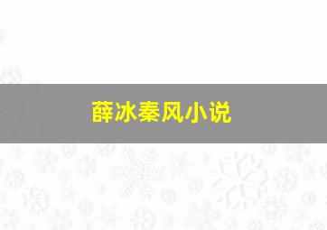 薛冰秦风小说