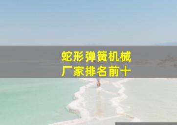 蛇形弹簧机械厂家排名前十