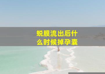 蜕膜流出后什么时候掉孕囊