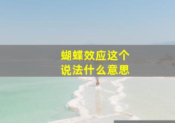 蝴蝶效应这个说法什么意思