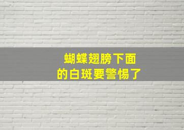 蝴蝶翅膀下面的白斑要警惕了