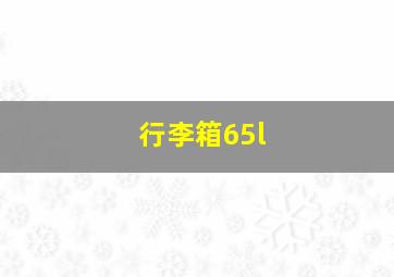 行李箱65l