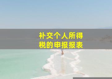 补交个人所得税的申报报表