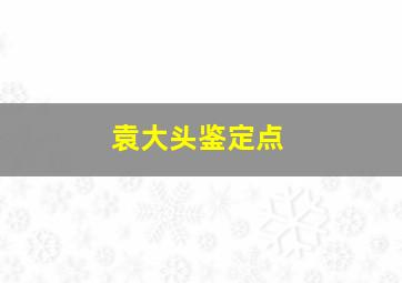 袁大头鉴定点