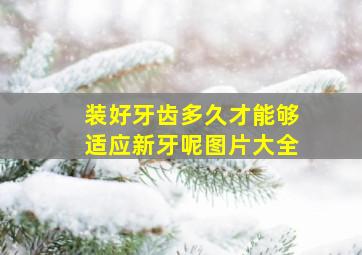 装好牙齿多久才能够适应新牙呢图片大全