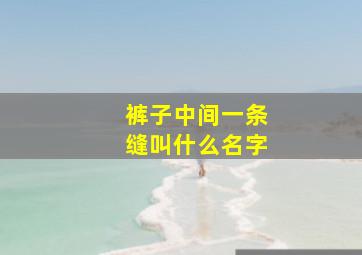 裤子中间一条缝叫什么名字