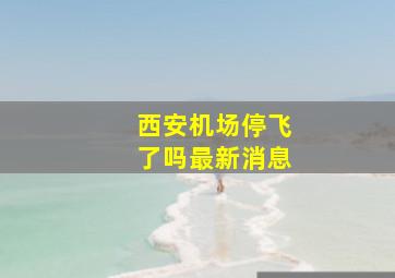 西安机场停飞了吗最新消息