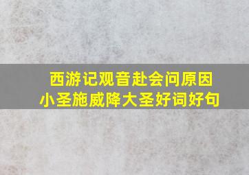 西游记观音赴会问原因小圣施威降大圣好词好句