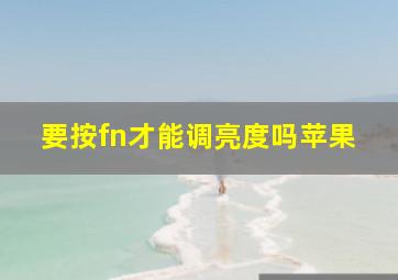 要按fn才能调亮度吗苹果