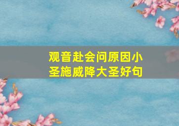 观音赴会问原因小圣施威降大圣好句