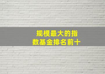 规模最大的指数基金排名前十