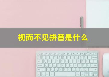 视而不见拼音是什么