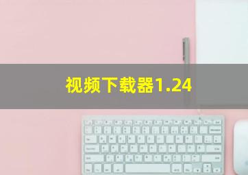 视频下载器1.24