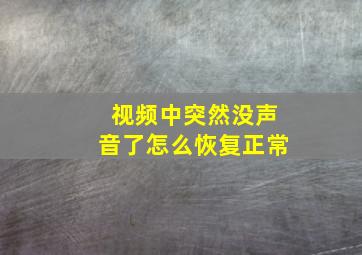 视频中突然没声音了怎么恢复正常