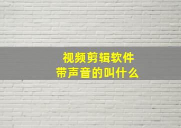 视频剪辑软件带声音的叫什么