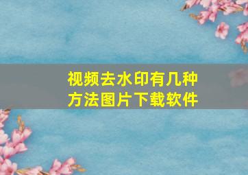 视频去水印有几种方法图片下载软件