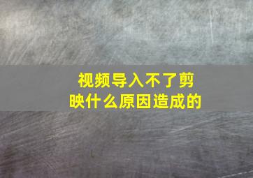 视频导入不了剪映什么原因造成的