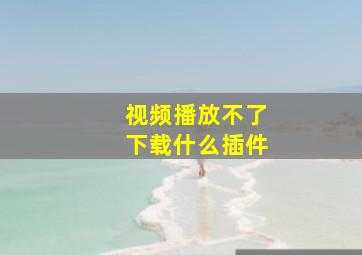 视频播放不了下载什么插件