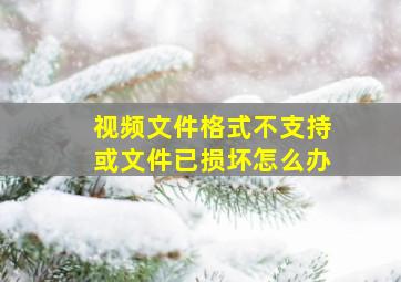 视频文件格式不支持或文件已损坏怎么办