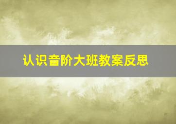 认识音阶大班教案反思