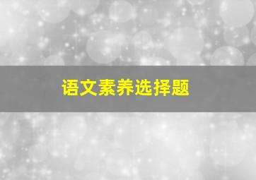 语文素养选择题