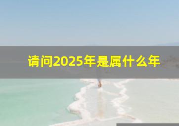 请问2025年是属什么年