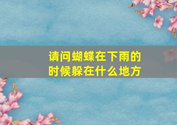 请问蝴蝶在下雨的时候躲在什么地方