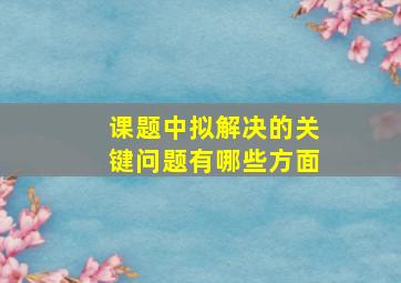 课题中拟解决的关键问题有哪些方面