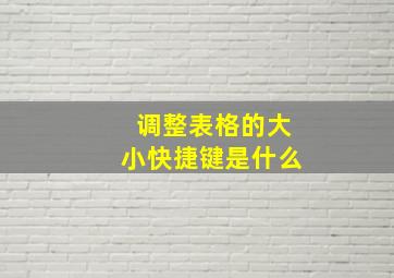 调整表格的大小快捷键是什么