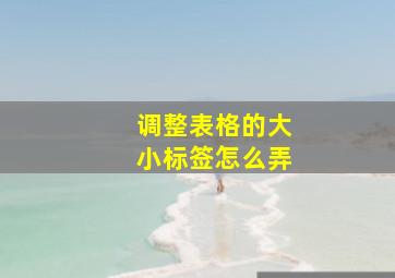 调整表格的大小标签怎么弄