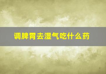 调脾胃去湿气吃什么药