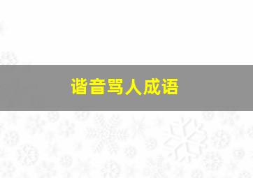 谐音骂人成语