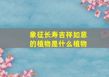 象征长寿吉祥如意的植物是什么植物