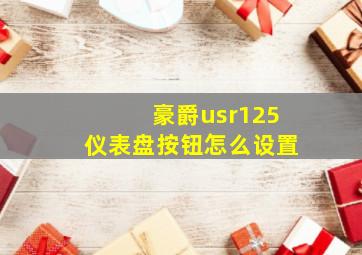 豪爵usr125仪表盘按钮怎么设置