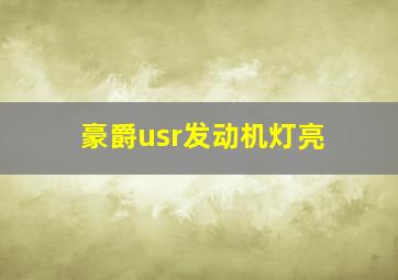 豪爵usr发动机灯亮