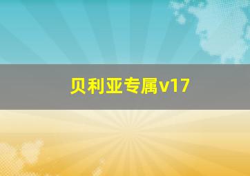 贝利亚专属v17