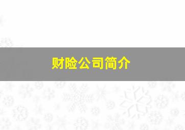 财险公司简介