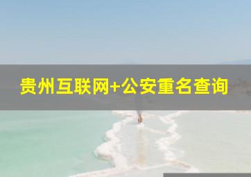 贵州互联网+公安重名查询