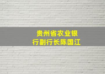 贵州省农业银行副行长陈国江