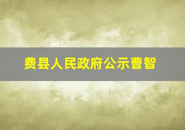 费县人民政府公示曹智