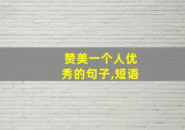 赞美一个人优秀的句子,短语