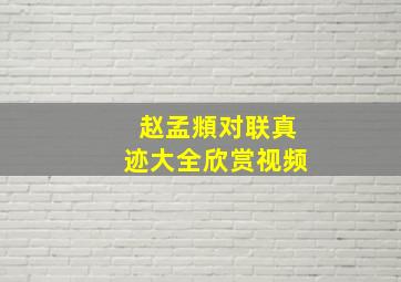 赵孟頫对联真迹大全欣赏视频