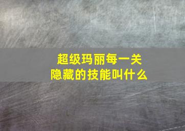 超级玛丽每一关隐藏的技能叫什么