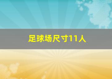 足球场尺寸11人