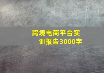 跨境电商平台实训报告3000字