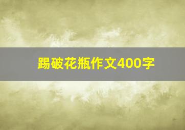 踢破花瓶作文400字